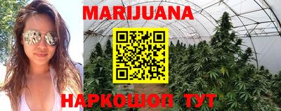 соль ск Майкоп
