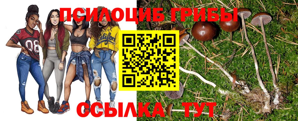 продажа наркотиков  Вход с VPN  Коломна  Галлюциногенные грибы Cubensis  Псилоцибиновые грибы ЛСД 