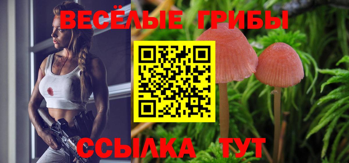 Псилоцибиновые грибы мухоморы Коломна
